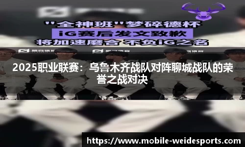 2025职业联赛：乌鲁木齐战队对阵聊城战队的荣誉之战对决