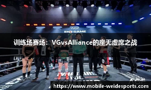 训练场赛场：VGvsAlliance的座无虚席之战